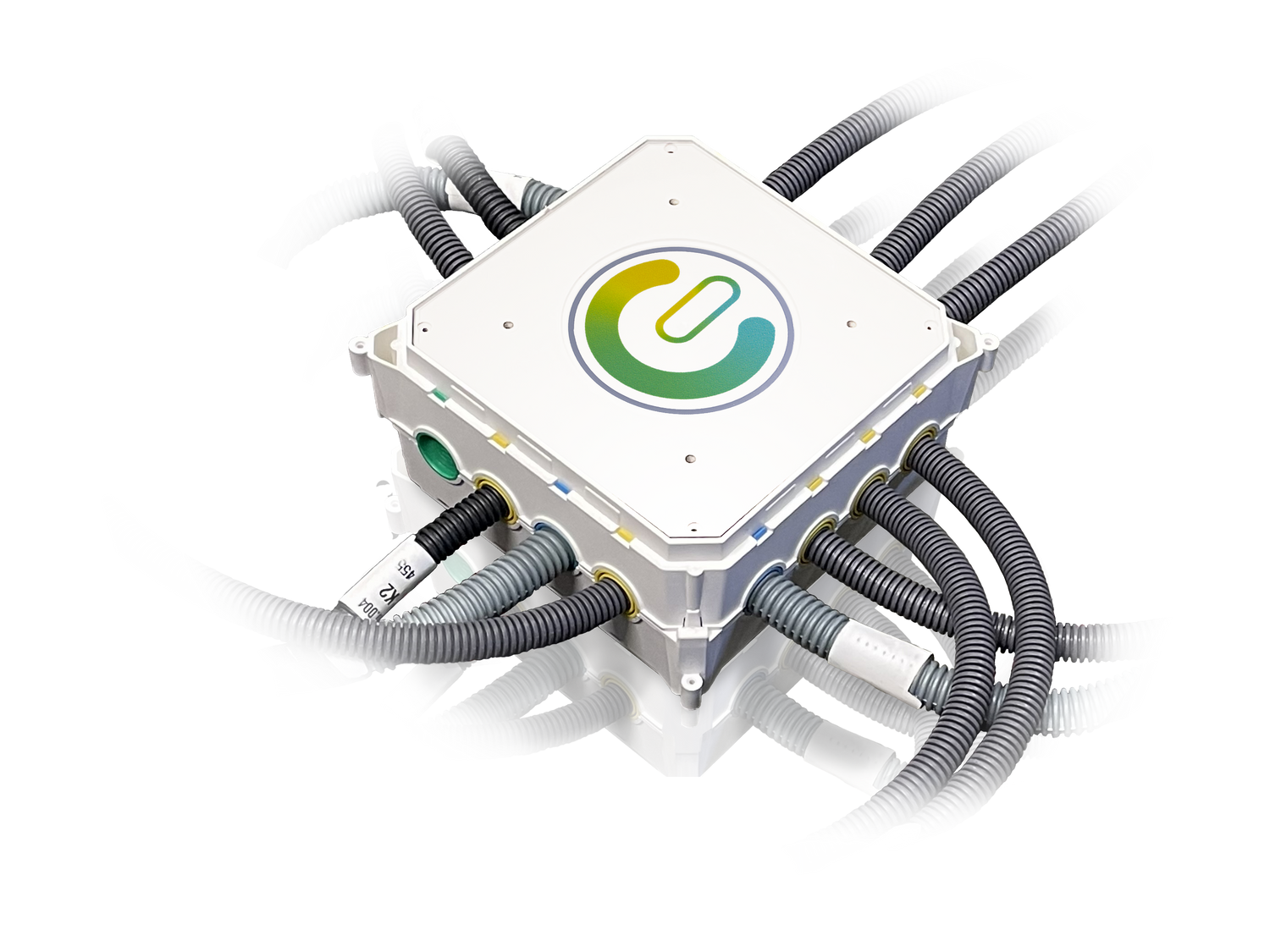 Pieuvres universelles basic